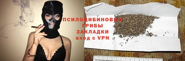 соль ск Семилуки