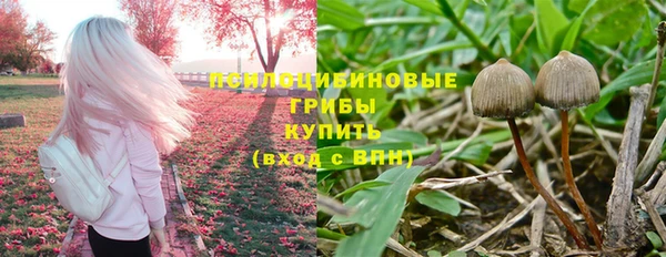 мет Семёнов