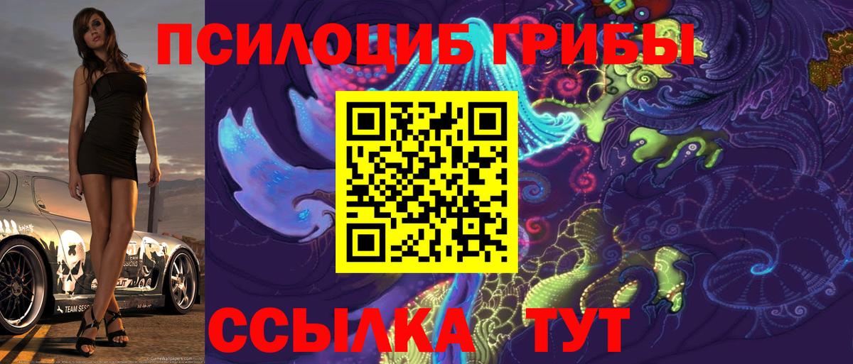Галлюциногенные грибы Cubensis Углич